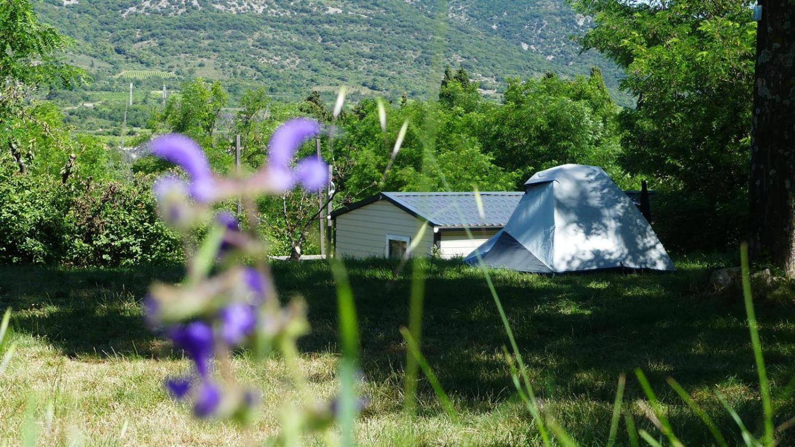 Campingplatz Camping Familial 3 Etoiles Piscine Chauffee Gorges De L Ardeche Saint-Remeze