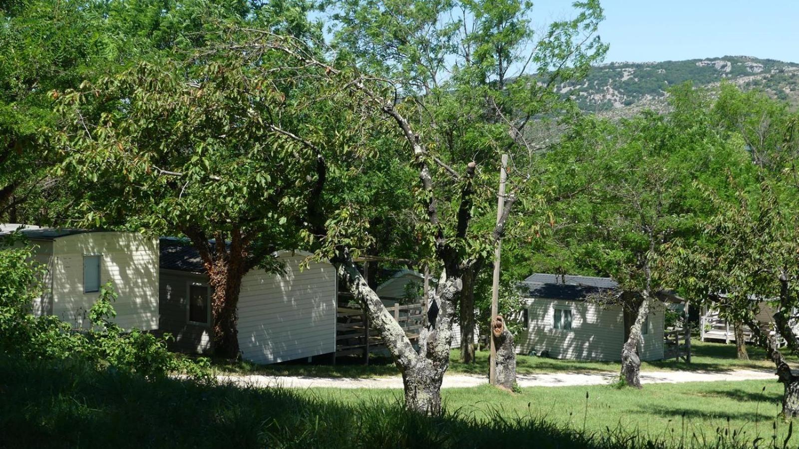 La résidence d'été Camping
