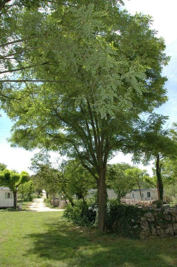 Campingplatz Camping Familial 3 Etoiles Piscine Chauffee Gorges De L Ardeche Saint-Remeze